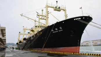 Japanese fleet returns with 333 whales from Antarctic hunt