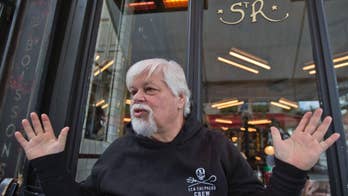 Sea Shepard founder Paul Watson rams whalers for a living