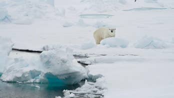 Svalbard heads for average temperature around 0