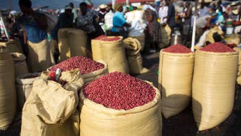 Donation of surplus peanuts from US dismays Haiti farmers