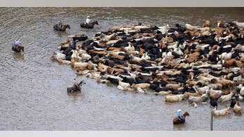 Florida braces for possible tropical storm, flooding