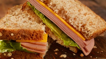 Internet trolls demanded a sandwich. The teen's response was epic