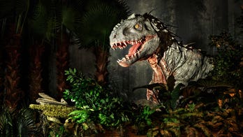 'Jurassic Park' comes to life in realistic dinosaur experience