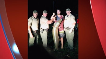 Fishermen hoping to catch catfish reel in massive alligator gar instead