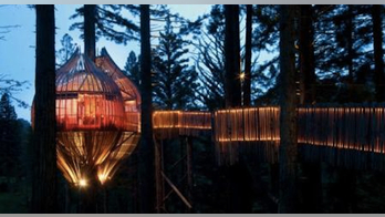 The High Life: Coolest treehouses you've ever seen