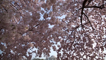 Vernal equinox brings earliest spring to US in 124 years