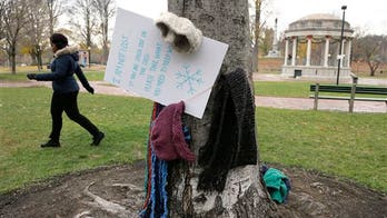 Good Samaritan hangs winter clothes on trees in Boston for needy