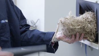 Ford wants to make car parts from Jose Cuervo tequila leftovers