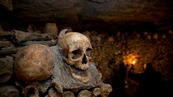 Black Death and other ancient diseases could be re-awakened by climate change, professor warns