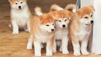 8 Things That Can Push Your Insurance Rates Through the Roof