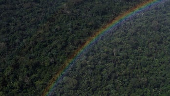 Mysterious earthen rings predate Amazon rainforest