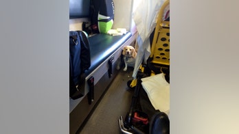 Texas rancher's dog hitches ride on side step of ambulance as owner, 85, taken to hospital