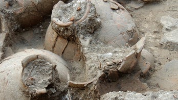 Raising Canaan? Wine cellar found in ancient palace hints at a sophisticated drink for banquets