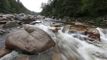 Baltimore streams tainted by amphetamines