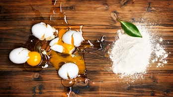 Chicken or egg question cracked: Hampton Creek scientists create plant-based egg