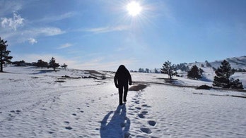 Brewer offers $1M Bigfoot reward