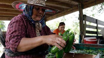 Biggest source of salmonella cases? Not meat