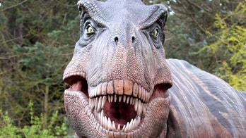 Dinosaur survived fearsome bite of hungry T. rex and left new evidence of ancient hunting