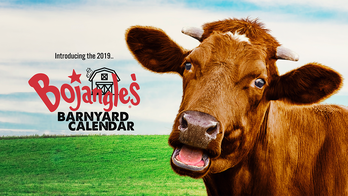 Moo-ve over Chick-fil-A: Bojangles' offering coupon-filled calendar following 'retirement' of Cow Calendar