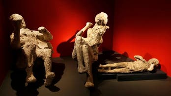 Life and death in Pompeii and Herculaneum