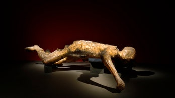 Pompeii exhibition brings doomed town to life