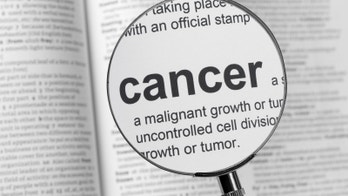 Koch, Kravis donate total of $250M for hospitals, research