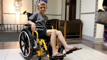 Boy, 8, gets 18 doses of anti-venom after painful snake bite