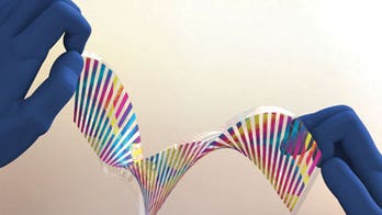 Scientists create new synthetic ‘chameleon skin’ that changes color on demand