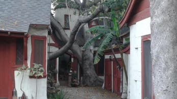 Charlie Chaplin (and Other Silver Screen Legends) Lived in These L.A. Storybook Cottages