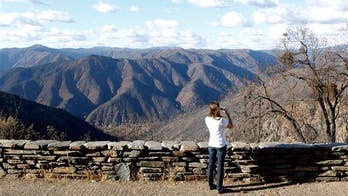 Child camping at Yosemite gets the plague