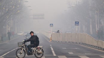 UN says CO2 pollution levels at annual record high
