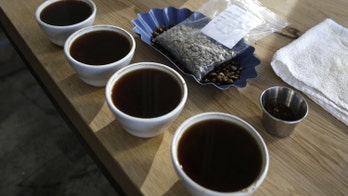 The buzz on caffeine in coffee: A genetic quirk