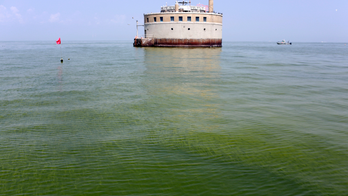 Critics: Ohio's plan to cut Lake Erie algae lacks direction