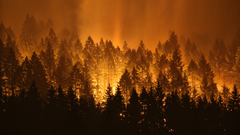Fire or volcano? Ash from Oregon blaze compared to eruption