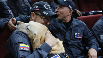 Colombia honors 14 sniffer dogs at emotional retirement