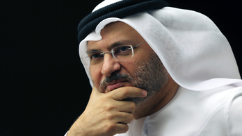UAE: Arab states don't seek 'regime change' in Qatar