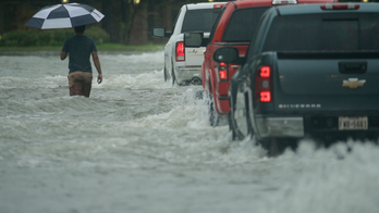 Texas teams' plans upended by Hurricane Harvey