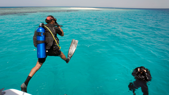 Saudi Arabia's Red Sea divers explore freedoms off the coast