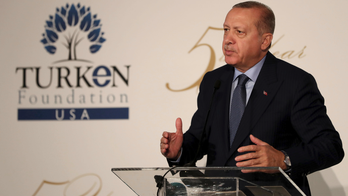 Turkey promises 'safe zones' in Kurdish-held parts of Syria