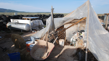 New Mexico compound littered with ammunition, dirty diapers