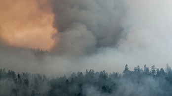 Wildfire forces half of popular Montana town to evacuate