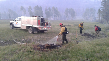 Insurance firms dispatch private firefighters in California