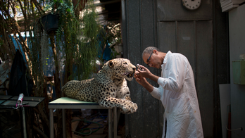 Israel opening nature museum, with evolution exhibit