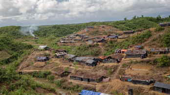 Senators urge US sanctions over Myanmar 'atrocities'