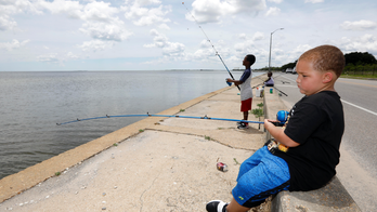 Florida panhandle braces as storm Alberto gains new strength