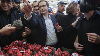 AP Interview: Israel's Herzog vows to bridge Jewish divide