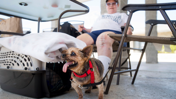 Latest: 37 structures burned in Northern California wildfire