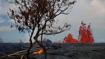 The Latest:  Lava almost cut Hawaii man's leg in half