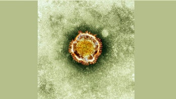 WHO says 4 new Saudi cases of MERS virus, one fatal
