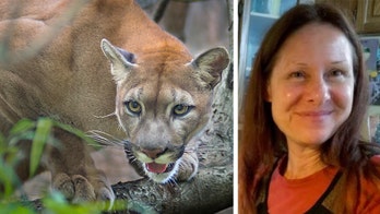 Cougar apparently killed Oregon woman missing for nearly 2 weeks, investigators say